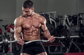 musculaire à la testostérone